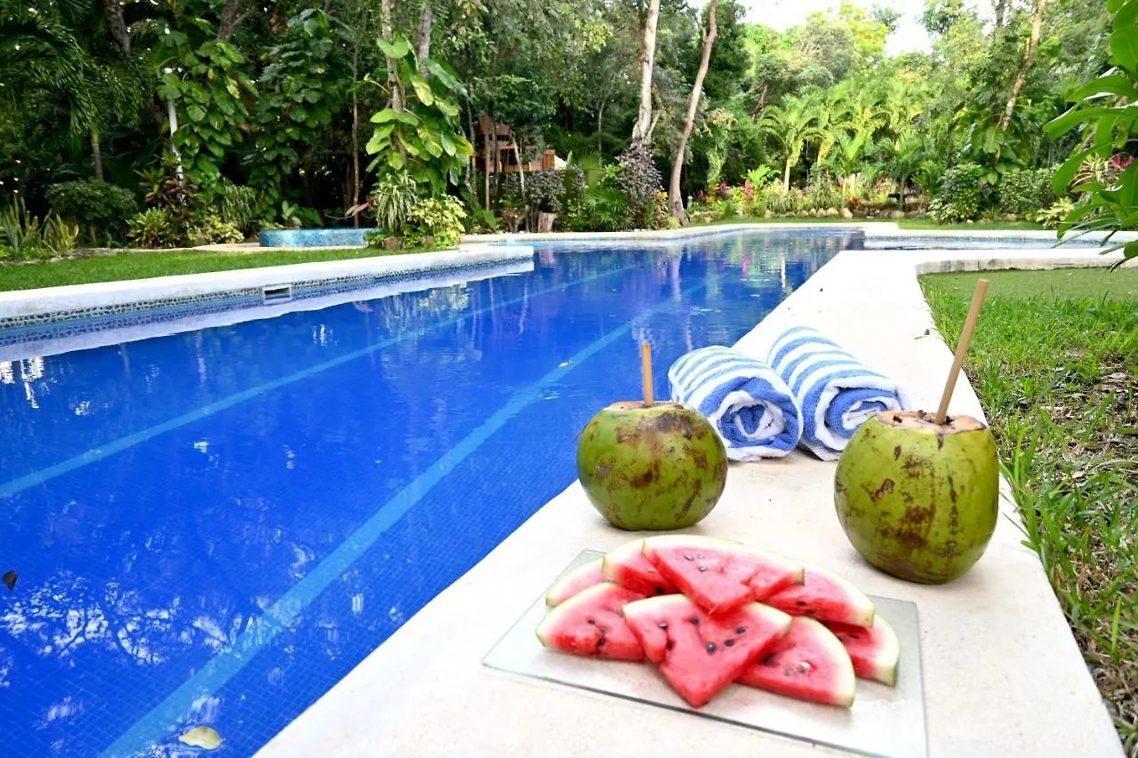 Glass Jungle Villa With Amazing Green Views -10 Min Dt Playa del Carmen Mexikó