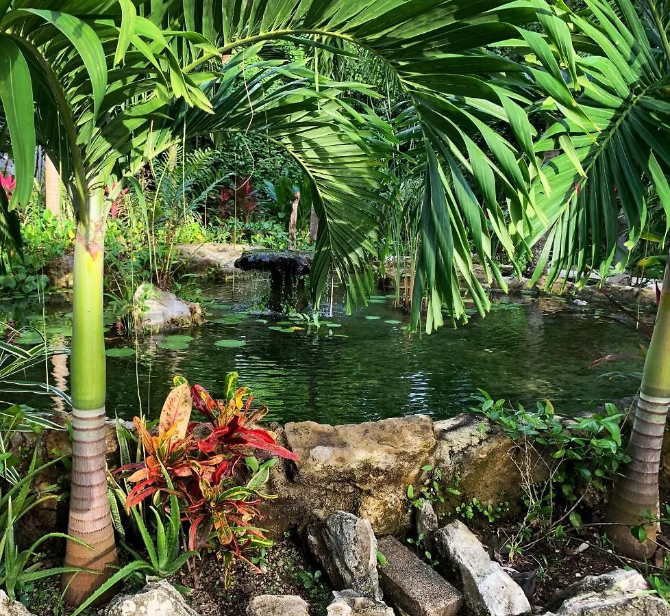 Glass Jungle Villa With Amazing Green Views -10 Min Dt Playa del Carmen