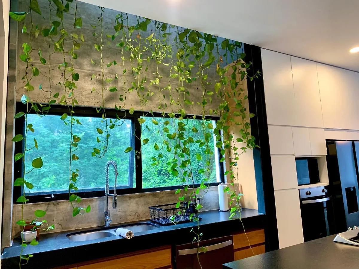 Luxury Jungle House - Amazing Design - 3 Floors Βίλα Πλάγια Ντελ Κάρμεν