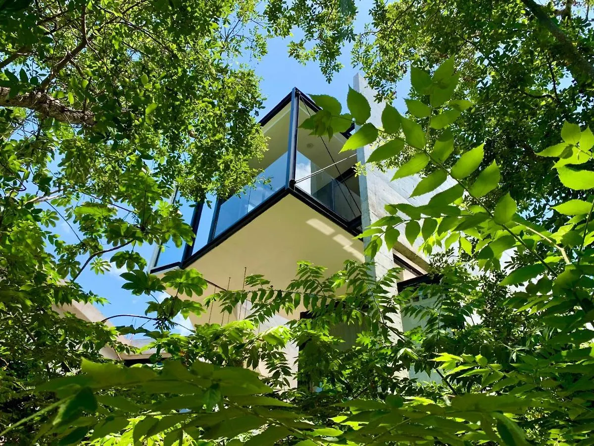 Luxury Jungle House - Amazing Design - 3 Floors Βίλα Πλάγια Ντελ Κάρμεν Μεξικό