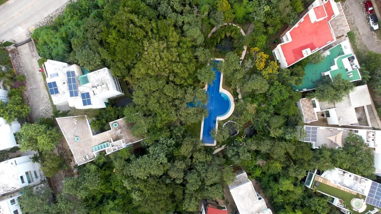 Σπίτι διακοπών Luxury Jungle House - Amazing Design - 3 Floors Βίλα Πλάγια Ντελ Κάρμεν Μεξικό