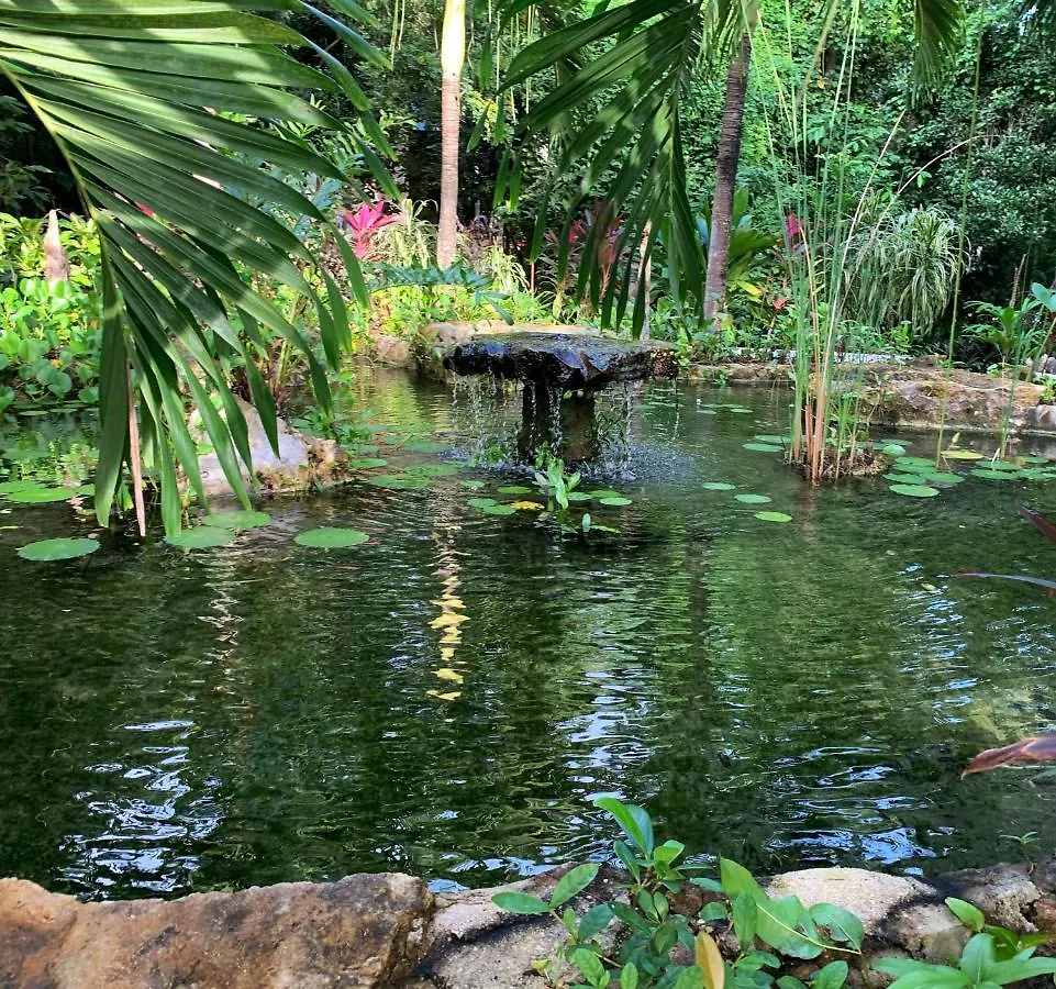 Glass Jungle Villa With Amazing Green Views -10 Min Dt Playa del Carmen Mexico