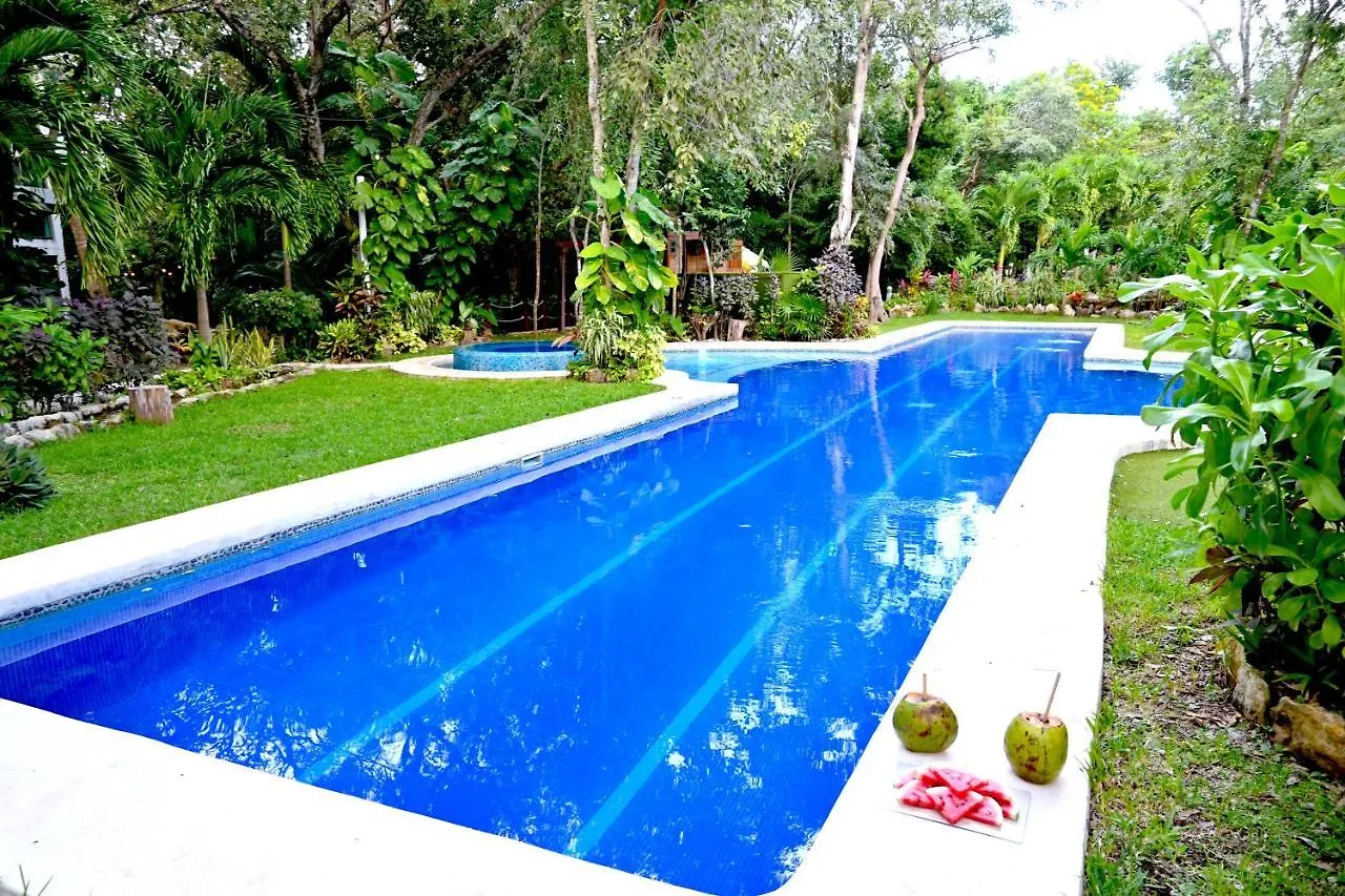Glass Jungle Villa With Amazing Green Views -10 Min Dt Playa del Carmen