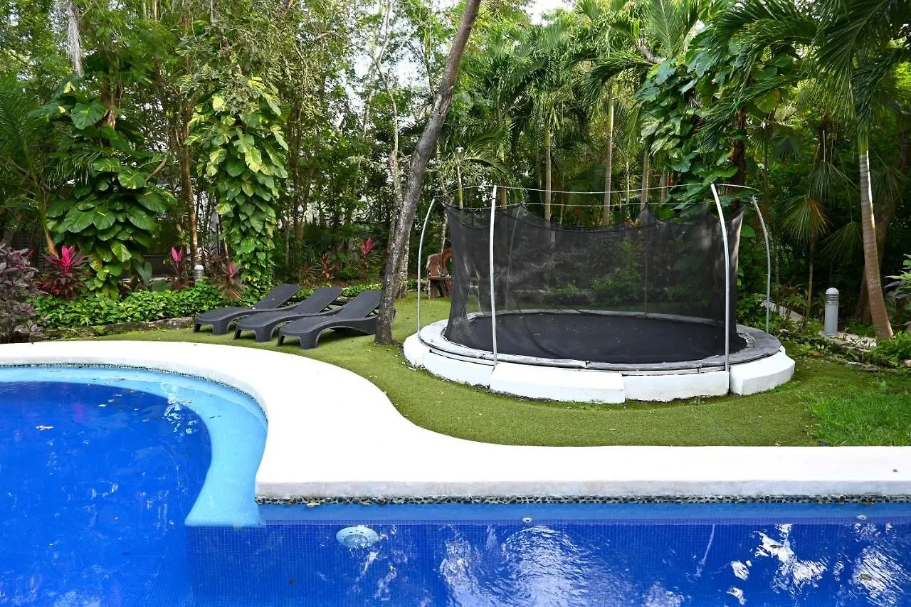 Glass Jungle Villa With Amazing Green Views -10 Min Dt Playa del Carmen